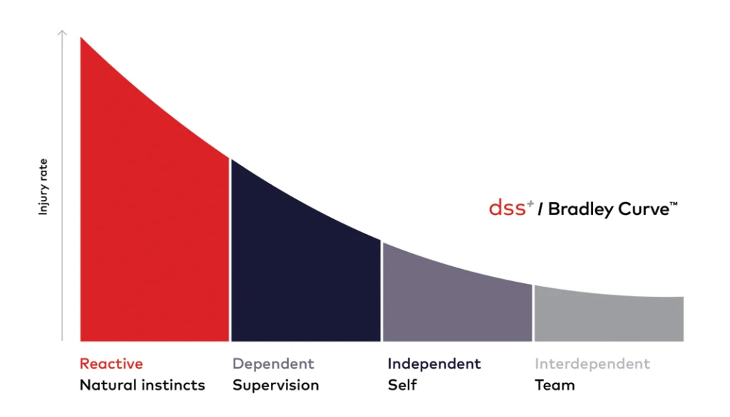 DSS Bradley Curve