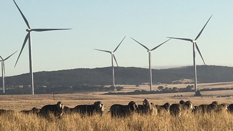 The Majority of Ausco Modular’s Australian Operations Now Powered by Renewable Energy